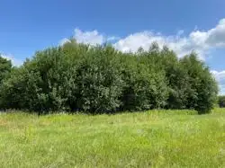Zdjęcie 1