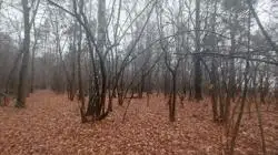 Działki Łuków — zdjęcie 1