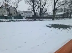 Zdjęcie 1