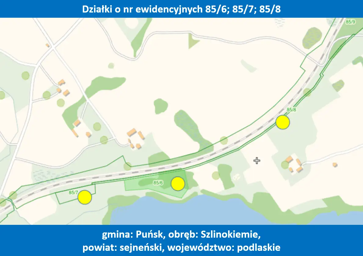 Zdjęcie 1