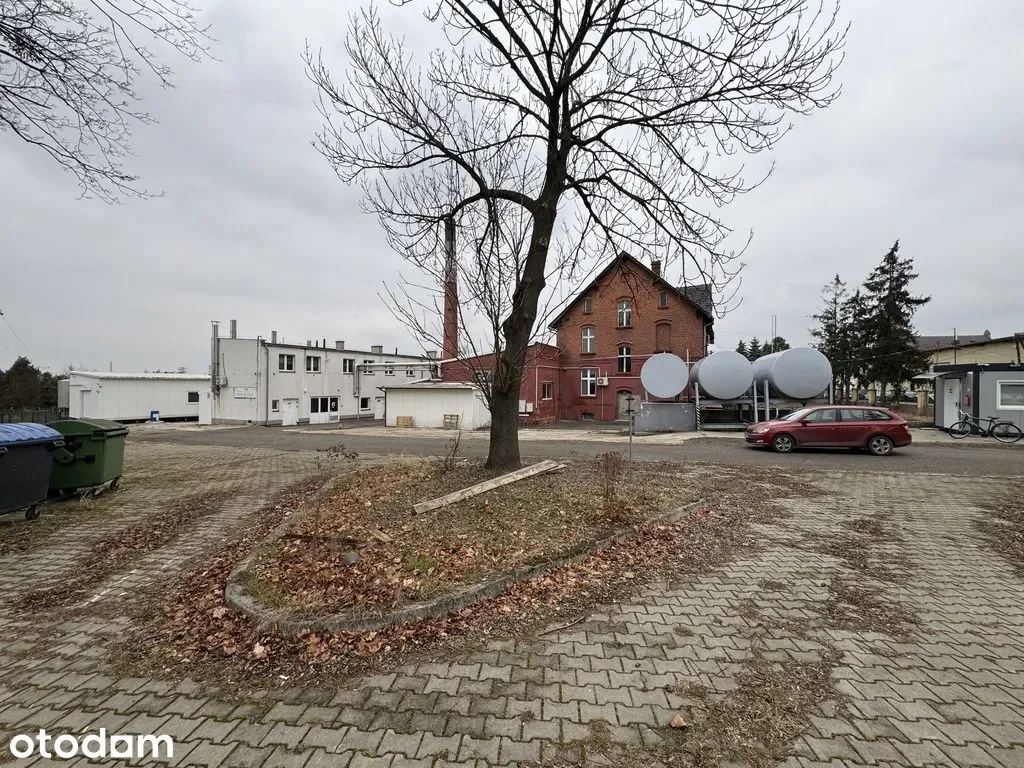 Zdjęcie 1