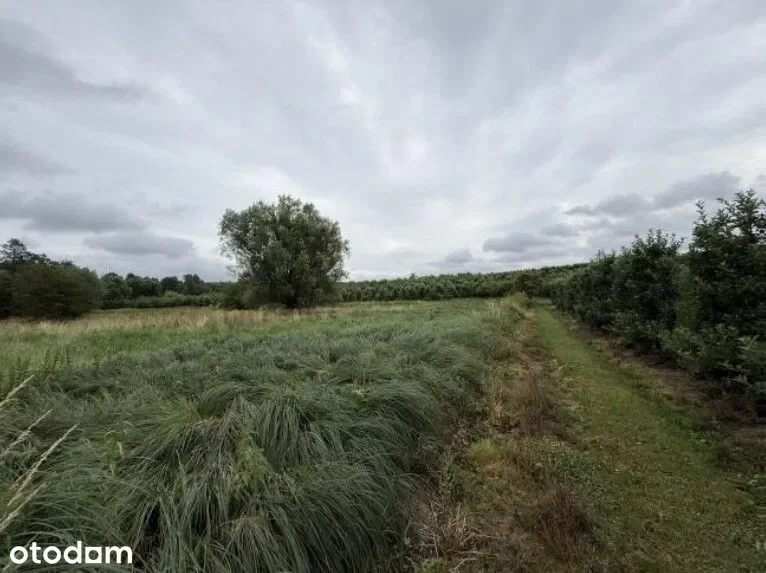 Działki Samborzec — zdjęcie 3