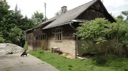 Zdjęcie 1
