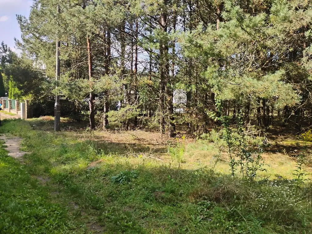 Zdjęcie 1