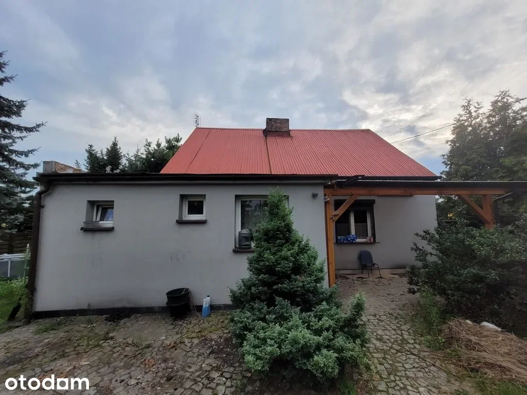 Zdjęcie 1