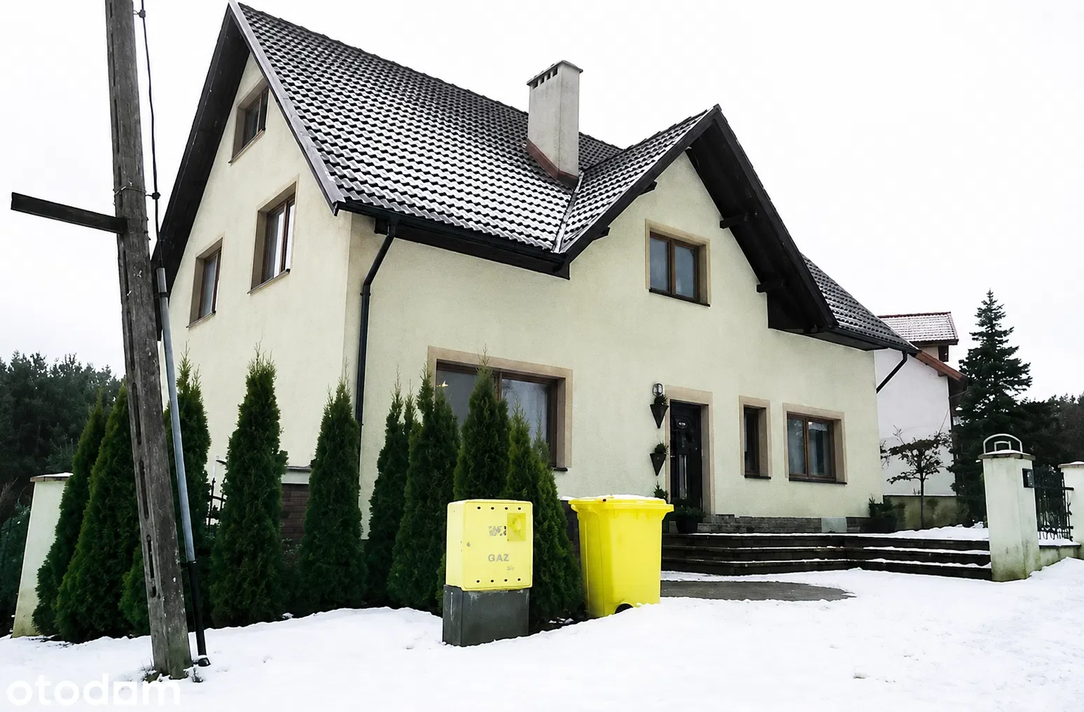 Zdjęcie 1