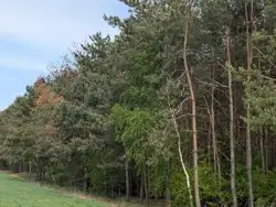 Działki Sieradz — zdjęcie 1
