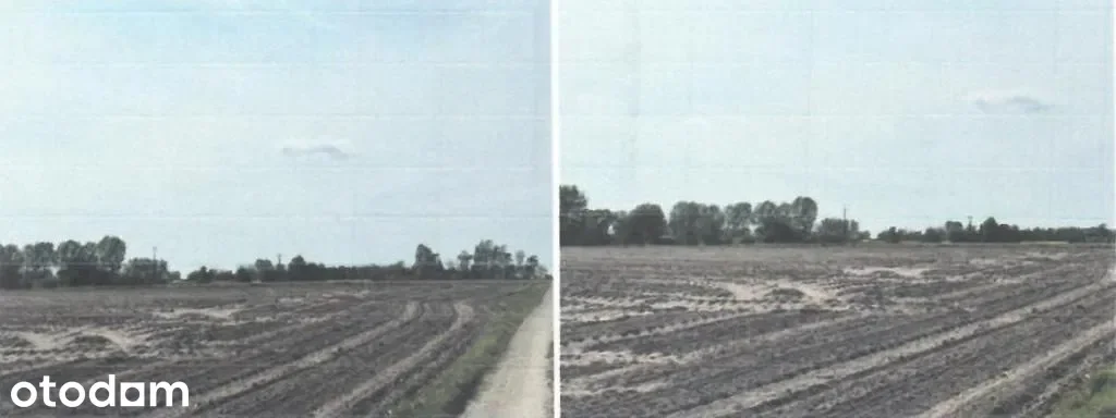 Działki Rybno — zdjęcie 5