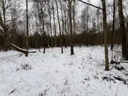 Zdjęcie 1