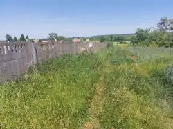 Grunty Świeciechów Poduchowny — zdjęcie 1