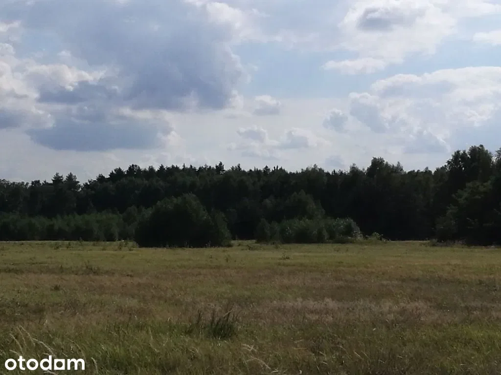 Grunty Polkowice — zdjęcie 6