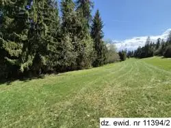 Zdjęcie 1