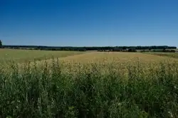 Grunty Kraśnik — zdjęcie 1