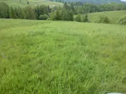 Zdjęcie 1