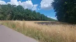 Grunty Łuków — zdjęcie 1