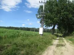 Zdjęcie 1