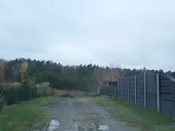 Zdjęcie 1