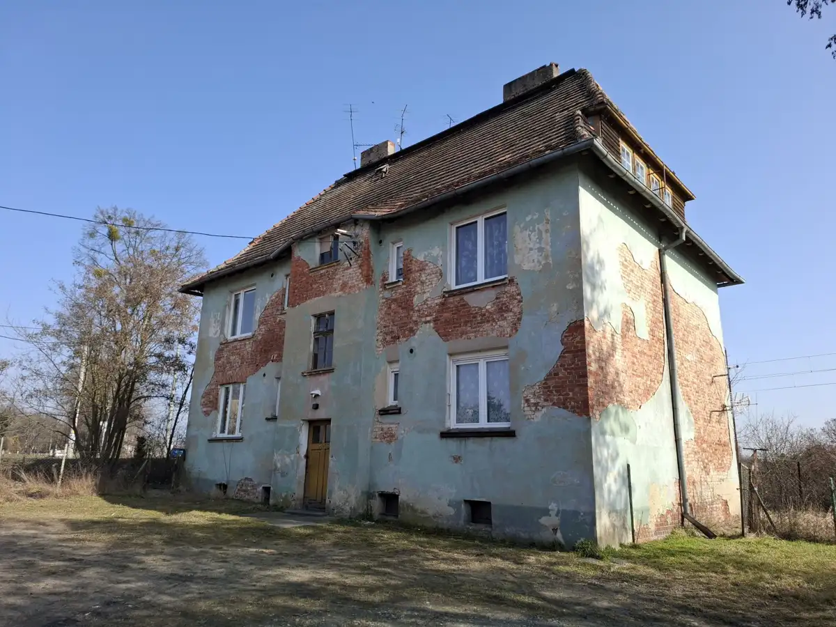 Zdjęcie 1