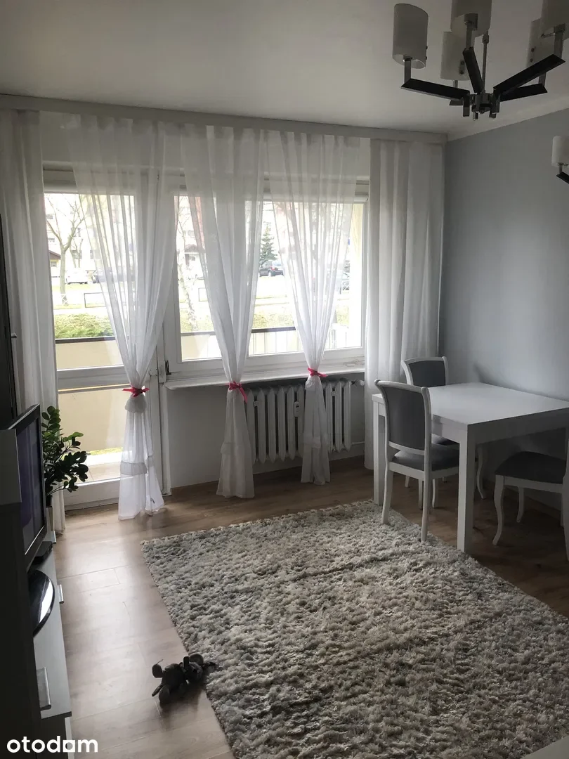 Zdjęcie 1