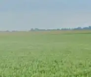 Grunty Goleniów — zdjęcie 1