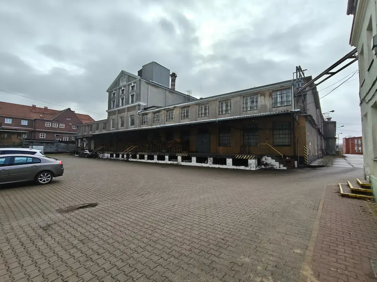 Zdjęcie 1