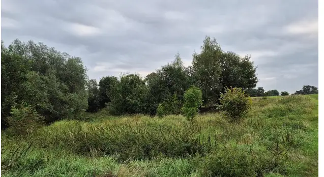 Grunty Pączewo — zdjęcie 1