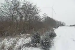 Grunty Choszczno — zdjęcie 1