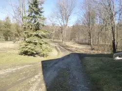 Zdjęcie 1