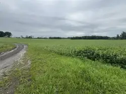 Grunty Pieniężno — zdjęcie 1