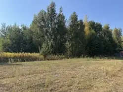 Zdjęcie 1