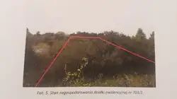 Grunty Ryki — zdjęcie 1