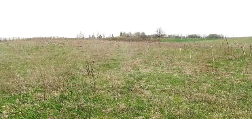 Zdjęcie 1