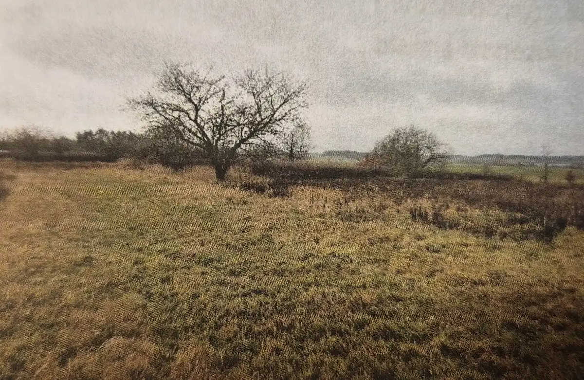 Grunty Wysoka — zdjęcie 1