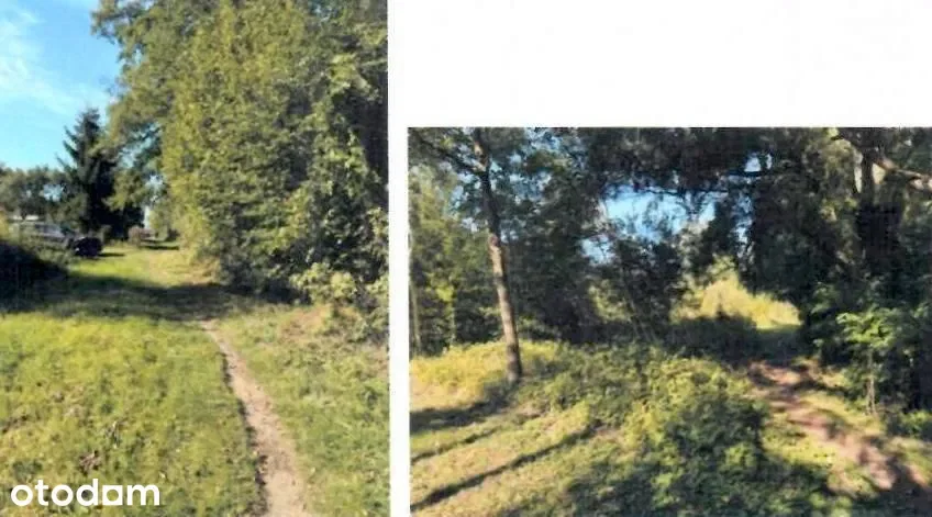 Działki Jaktorów — zdjęcie 2