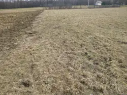 Zdjęcie 1