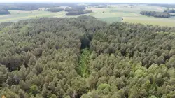 Grunty Bielsk Podlaski — zdjęcie 1