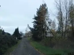Zdjęcie 1