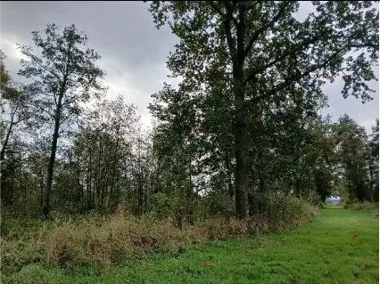 Grunty Podgórze — zdjęcie 1