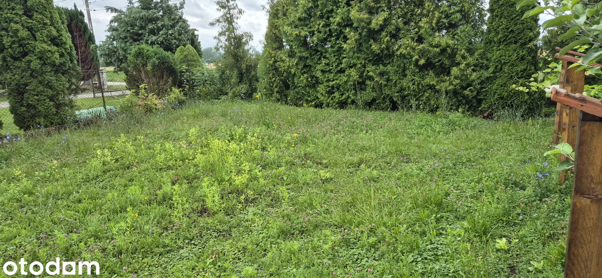 Działki Pińczów — zdjęcie 2
