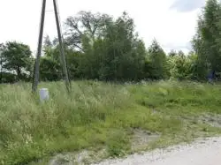 Zdjęcie 1