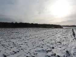 Zdjęcie 1