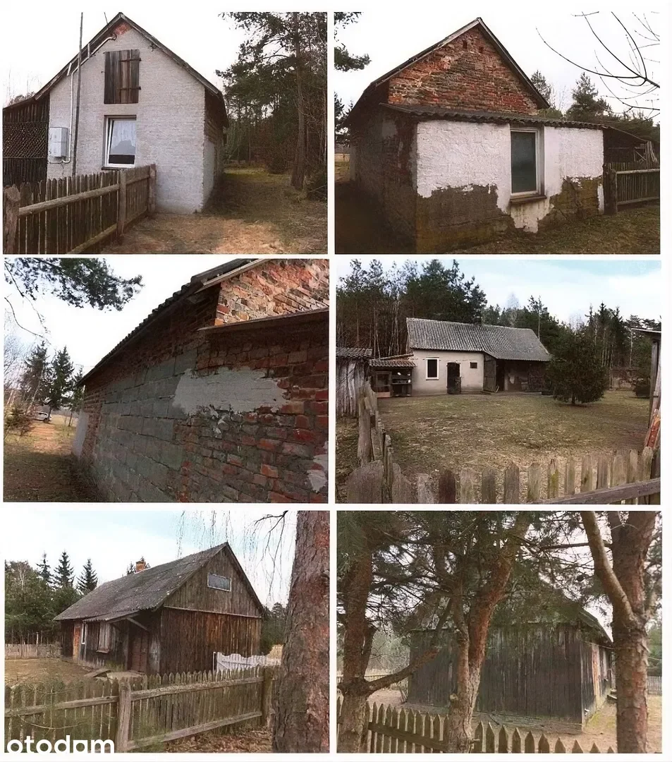 Zdjęcie 1