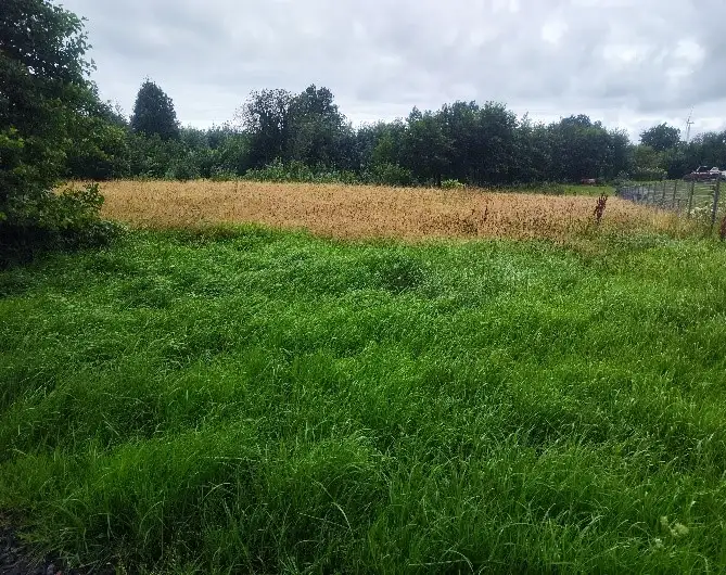 Zdjęcie 1