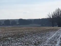 Zdjęcie 1