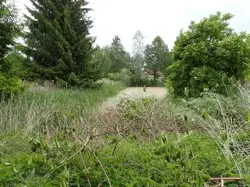 Zdjęcie 1