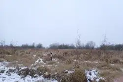 Zdjęcie 1