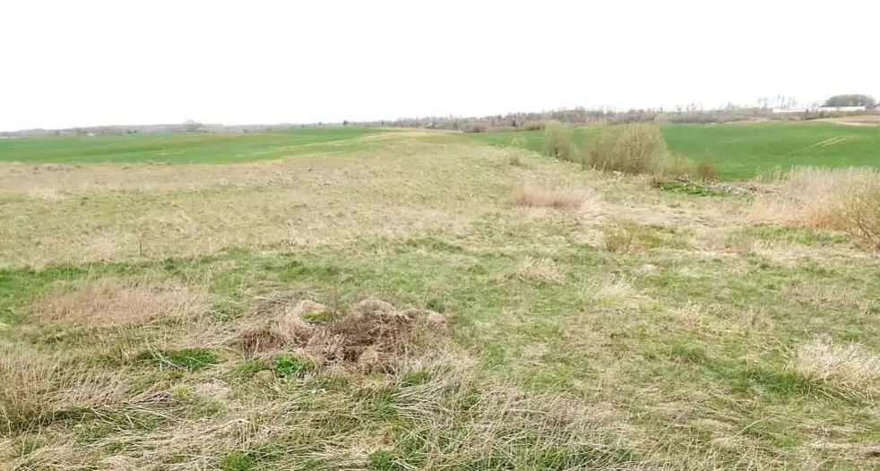 Zdjęcie 1