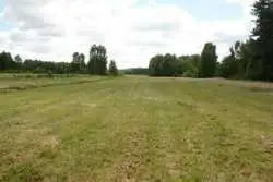 Zdjęcie 1