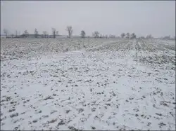 Grunty Głubczyce — zdjęcie 1