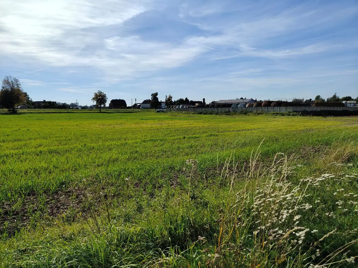 Grunty Czekanów — zdjęcie 2
